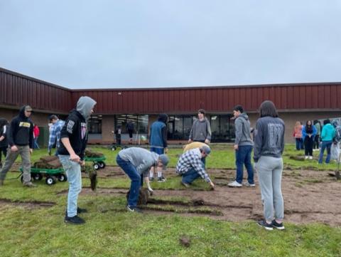 Students pulling up sod