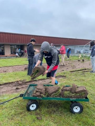 Loading up the sod