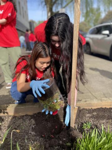 planting